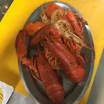 Il Gabbiano Ξενοδοχείο Stalettì