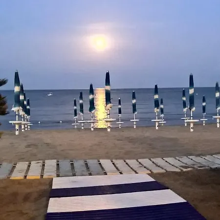 Il Gabbiano