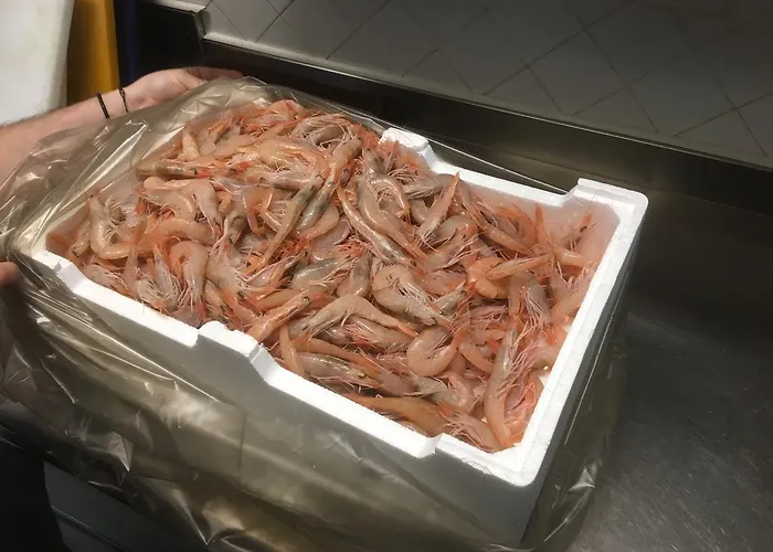 Il Gabbiano فندق Stalettì