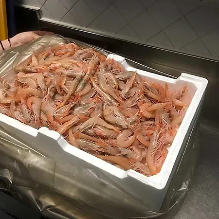 伊尔甘比亚诺酒店 斯塔拉帝