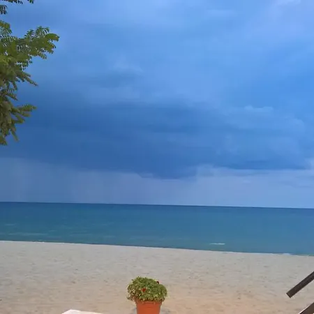 Hotel Il Gabbiano Stalettì