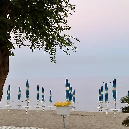Il Gabbiano