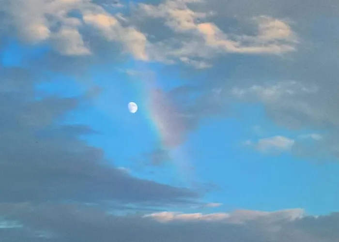 Hotel Il Gabbiano 3*